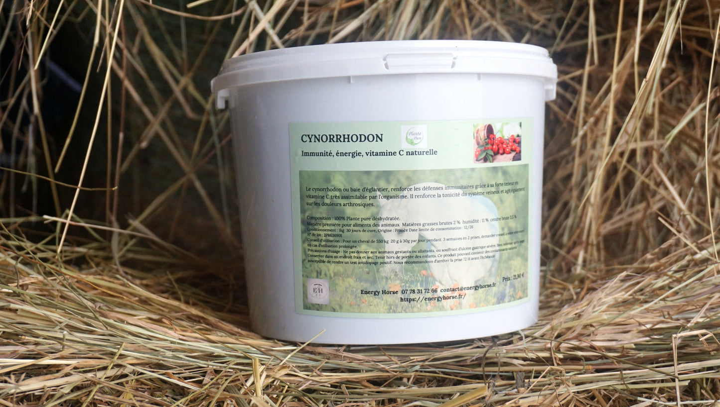 CYNORRHODON défences  immunitaires