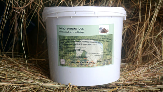 ENERGY PROBIOTIQUE