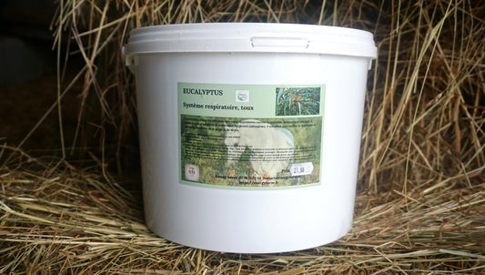 EUCALYPTUS respiration