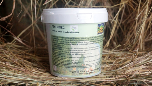 FENUGREC reprise d'état