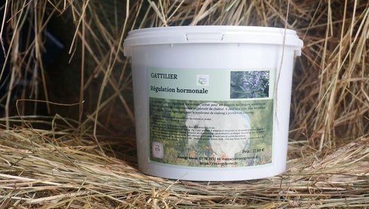GATTILIER régulation hormonale