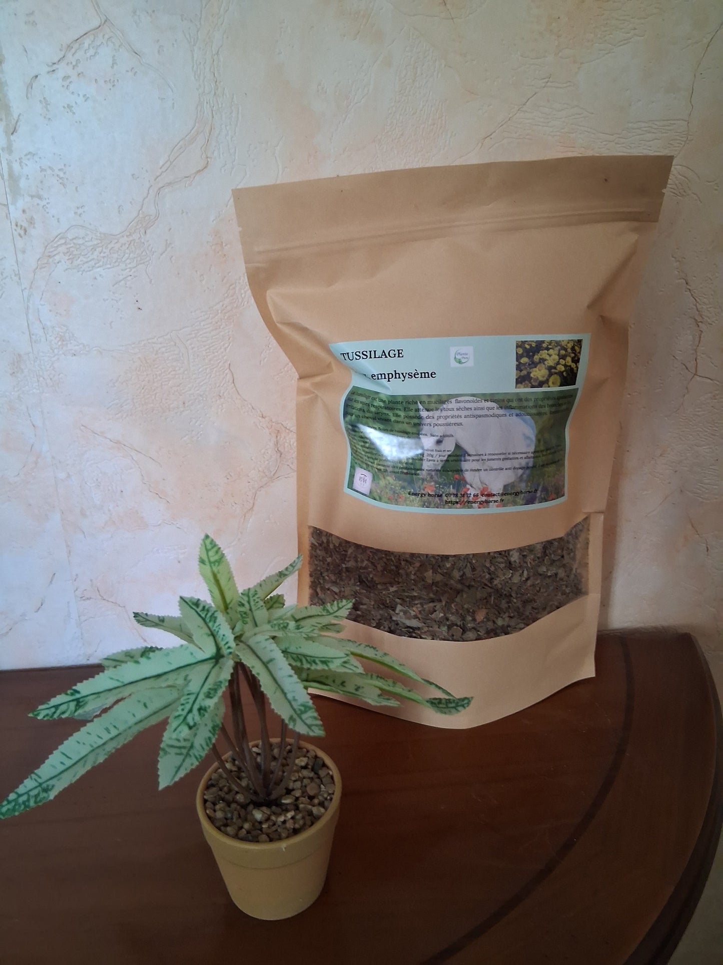 TUSSILAGE encombrement des bronches